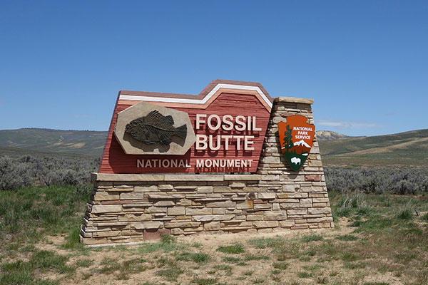 Commercial Brick Monument Sign for Fossil Butte